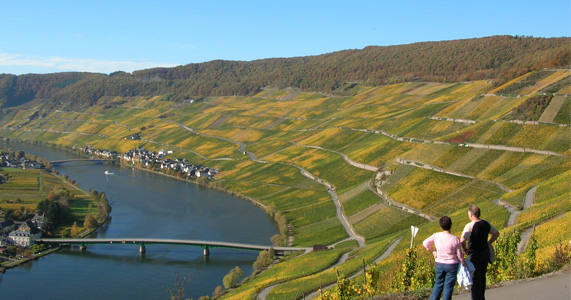 Piesporter Goldtröpfchen