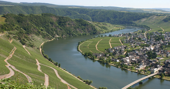 Piesporter Goldtröpfchen